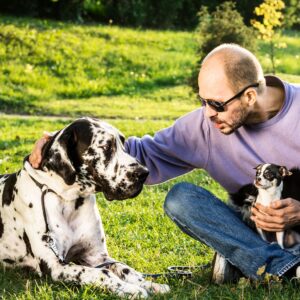 Big dogs age faster at an epigenetic level, new study finds