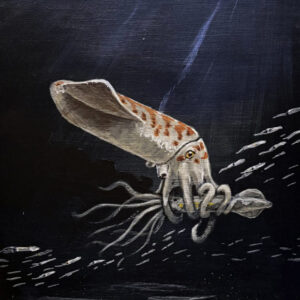Peculiar New Species of Belemnite Unearthed in Wyoming