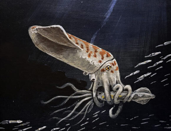 Peculiar New Species of Belemnite Unearthed in Wyoming