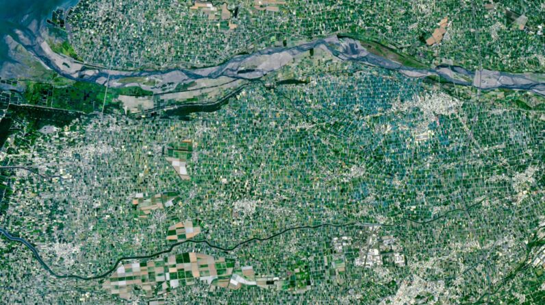 Multicolored ‘mosaic’ of mini farms surrounds Taiwan’s largest river — Earth from space