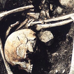1,200-year-old burial in Latvia holds people who died of ‘sharp force’ injuries, possibly from a Viking raid
