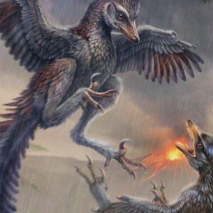 Flightless Jurassic bird was like a carnivorous pheasant with killer claws