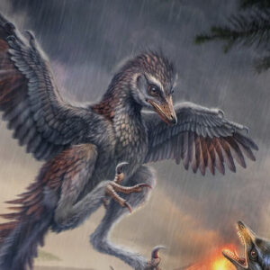 Jurassic Fossil Hints that Some Early Birds Were Flightless