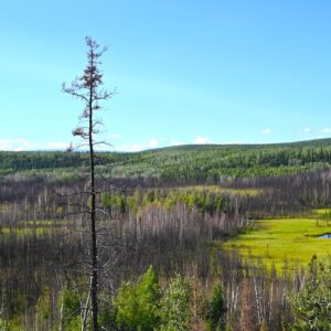 Archaeologists discover the oldest dwelling in the Western Hemisphere at a 13,800-year-old site in Alaska