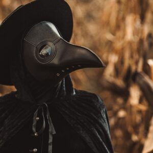 Black Death had dramatic effect on species diversity as humans abandoned farmland, study finds