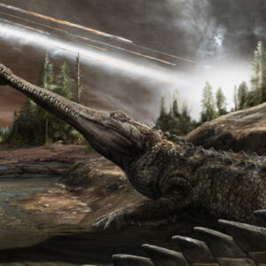 Crocodile Kin Have Been Chasing Warm Climates for 250 Million Years