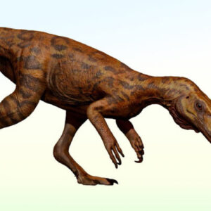 Early Predatory Dinosaurs Survived Shift in Their Ecosystem, Fossil Fragment Suggests
