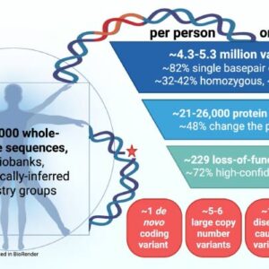 Average Human Genome Carries Millions of Variants, New Research Shows