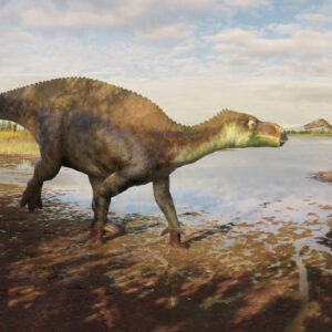 New Species of Iguanodontian Dinosaur Discovered in England