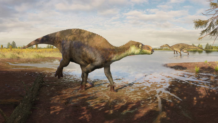 New Species of Iguanodontian Dinosaur Discovered in England