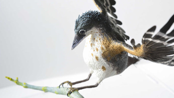 Paleontologists Reconstruct Cretaceous Bird in Remarkable Detail