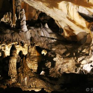 30,000-year-old bone found in French cave reveals vast genetic connections between people of Eastern and Western Europe during the Stone Age
