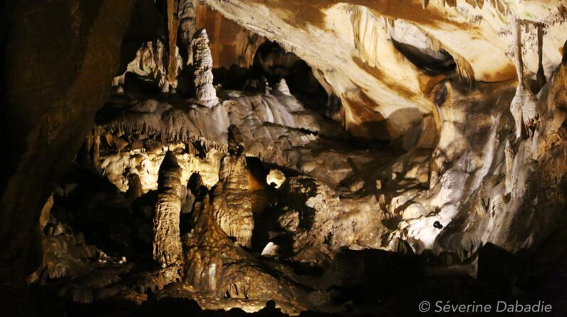 30,000-year-old bone found in French cave reveals vast genetic connections between people of Eastern and Western Europe during the Stone Age