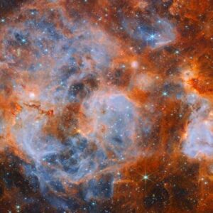 Webb Observes Turbulent Stellar Nursery