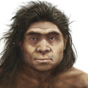 Our extinct cousins the Denisovans had a ‘distinctive’ appearance, new analysis reveals