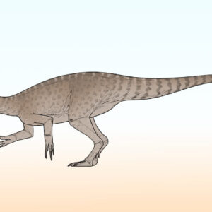 New Species of Predatory Dinosaur Identified in Argentina