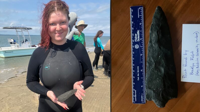 ‘This is so crazy!’ Virginia college student looking for shark teeth finds rare Native American spearpoint